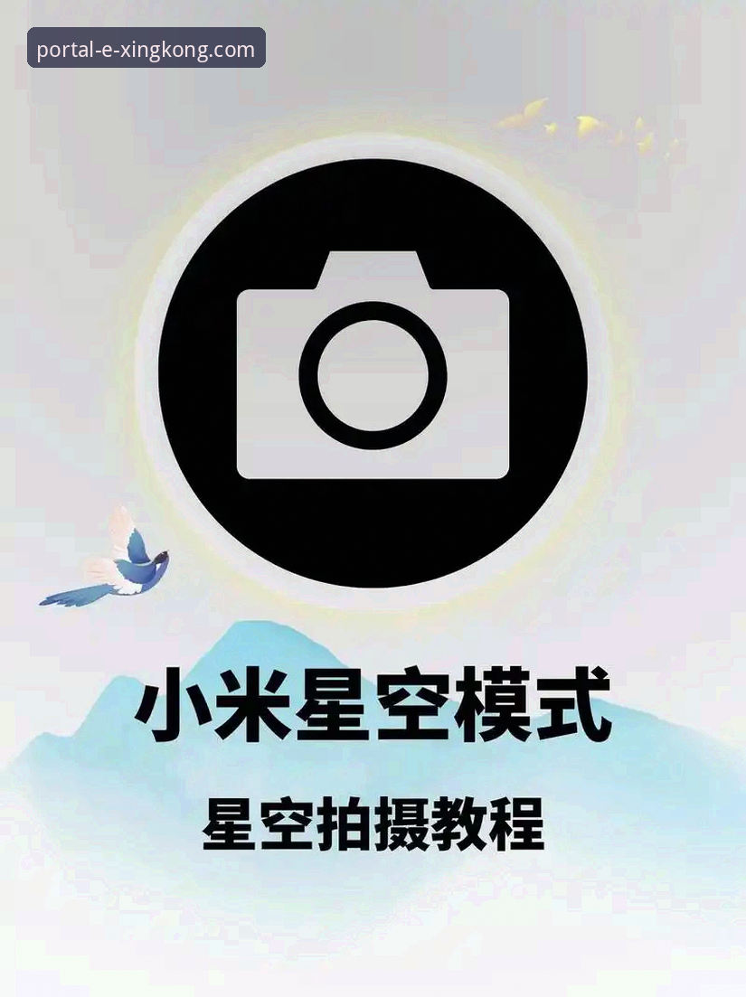 星空入口使用教程 如何高效使用星空入口平台?一份详尽的官方使用教程