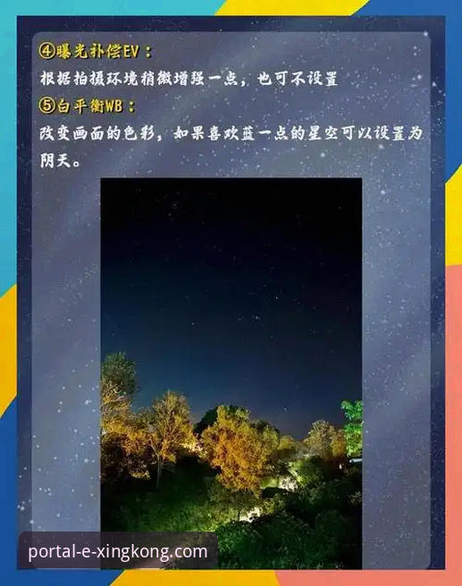 星空入口平台正版下载对比与选择指南